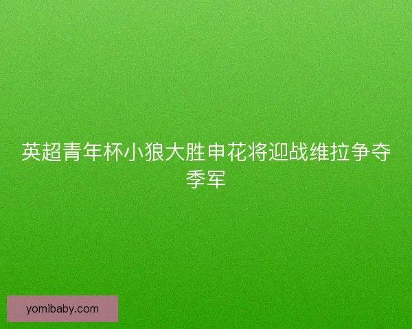 英超青年杯小狼大胜申花将迎战维拉争夺季军 英超青年杯小狼大胜申花将迎战维拉争夺季军